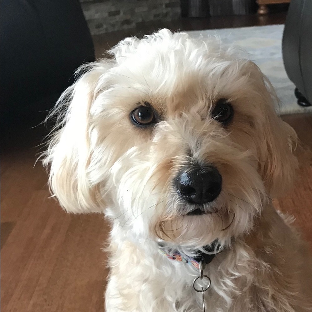 Meet your Posher, Kim